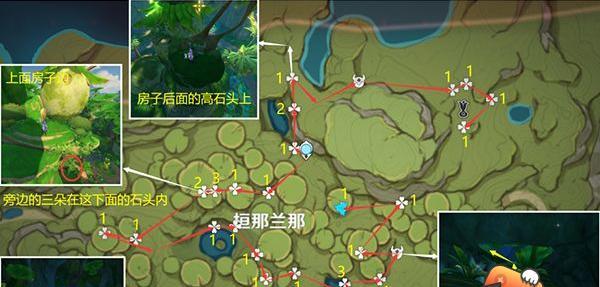 原神新苗位置一览！（探索世界，收集新苗，为你的冒险之旅增添色彩！）