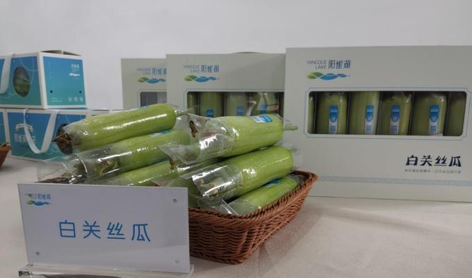 流星蝴蝶剑手游：罗金鹏打法分析