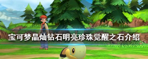 《闪亮之名钻石》游戏中的获取方法介绍（掌握获取技巧）