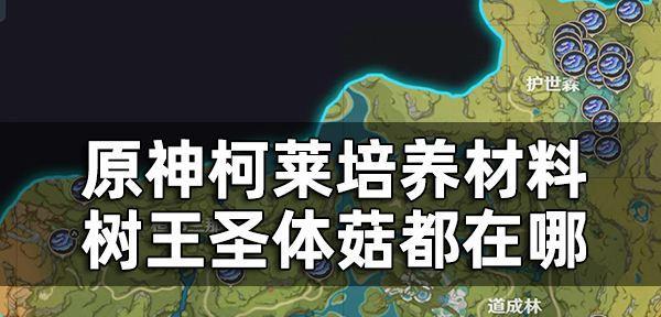 原神树王圣体菇采集攻略（树王圣体菇在哪里采集）