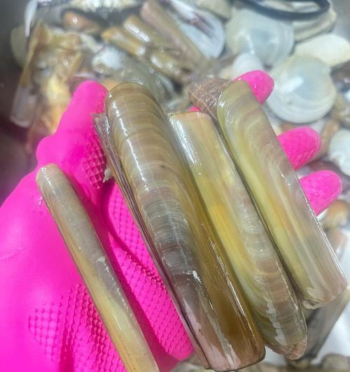 揭秘赶海王第三章彩蛋的神秘面纱（探索游戏中隐藏的秘密）