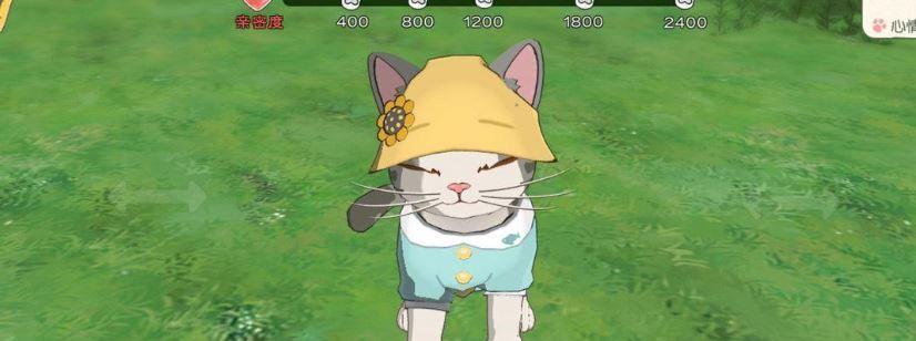 爱江山更爱美人，如何喂养宠物（从猫咪的喂养说起）