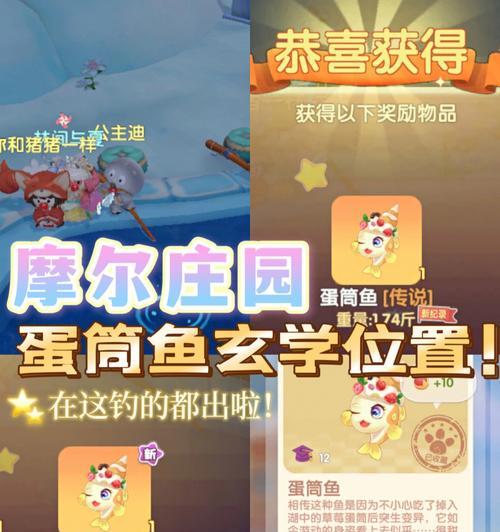 《白鲸攻略大全》（跟随指南）