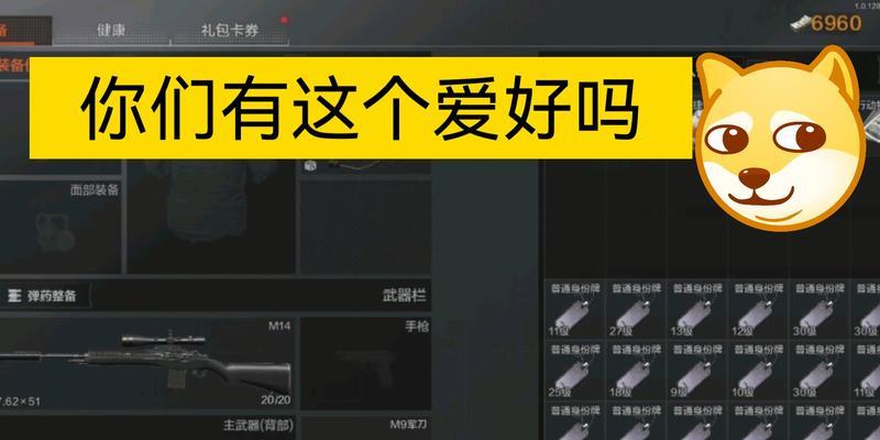 《以暗区突围身份牌的重要作用详解》（突破游戏限制）