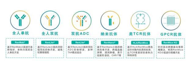 梦幻西游鬼王如何分双抗和单抗？有什么技巧？