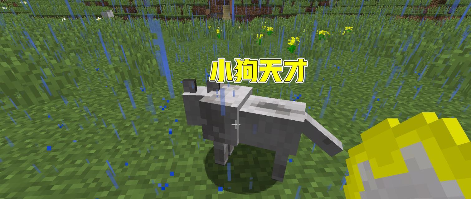 我的世界中狗狗如何传递队友信息？操作方法是什么？