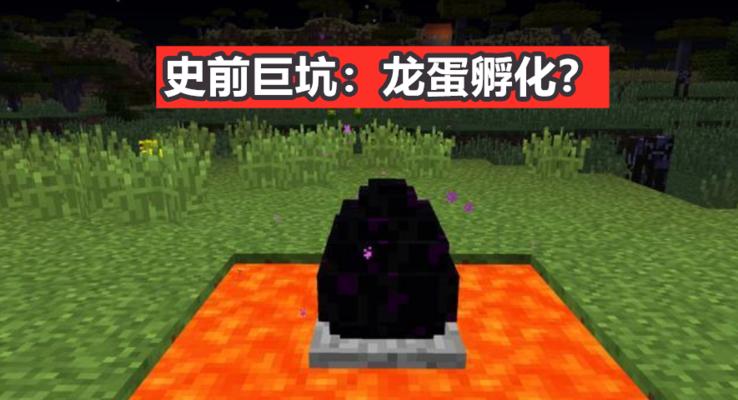 我的世界孵龙蛋的方法是什么？