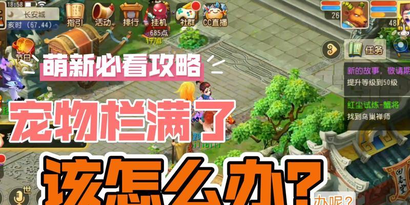 在《梦幻西游》中为什么宠物无法放生？解决方法是什么？
