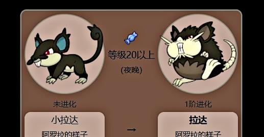 洛克王国喷火鸟如何配招？配招策略有哪些？