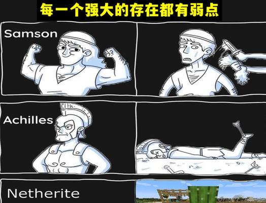 我的世界中如何进行矿物追踪？