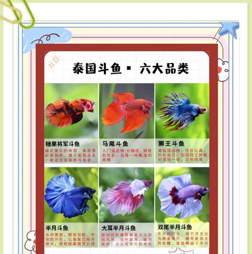 斗鱼游戏手游中哪些宠物值得推荐？如何获取？