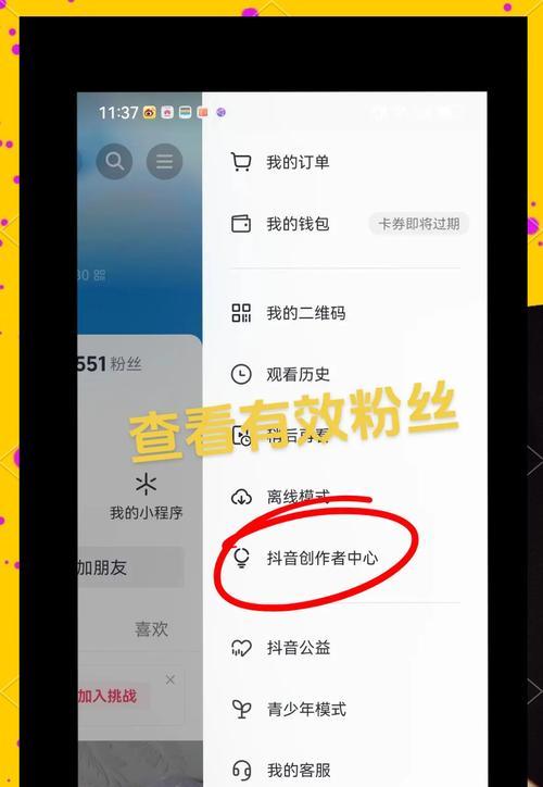 如何查看问道游戏中的粉丝数量？