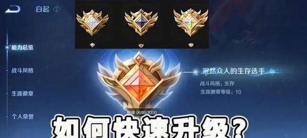 王者荣耀收藏系统满级需要多少物品？如何快速收集？
