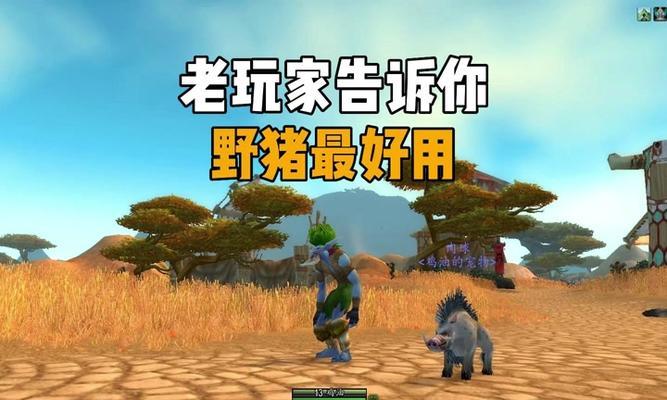 石皮野猪在魔兽世界中如何驯服？