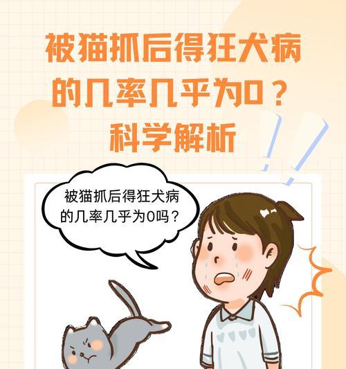 宠物抓捕技巧有哪些？抓捕成功率如何提高？