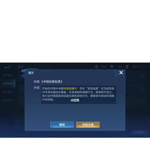 王者荣耀举报规则是什么？如何进行有效举报？