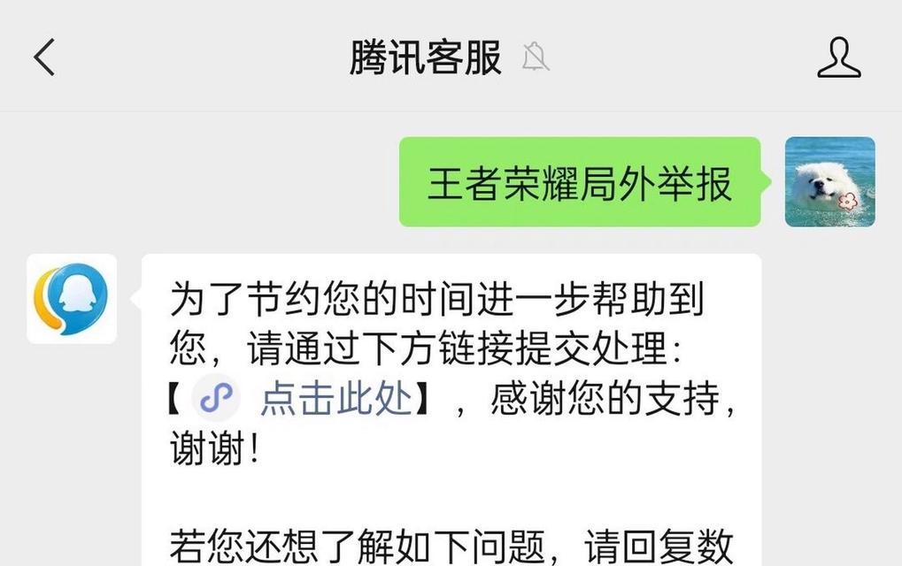 王者荣耀举报规则是什么？如何进行有效举报？