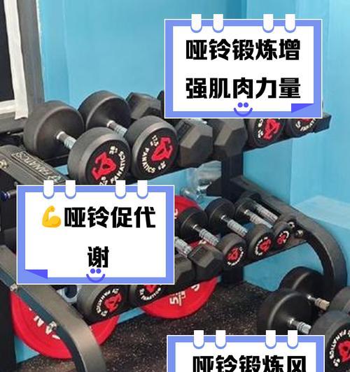 训练哑铃在地下城中如何使用？哑铃使用方法有哪些？