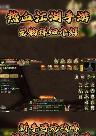 热血江湖手游宠物锻造的详细步骤是什么？