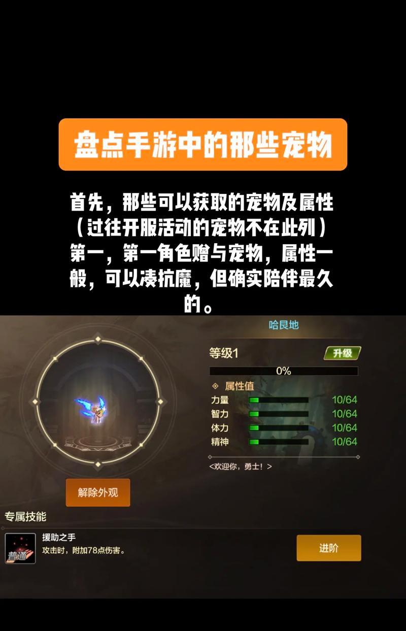 dnf宠物怎么进化？宠物进化的条件和步骤是什么？