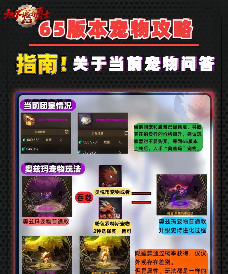 地下城宠物蛋购买流程是什么？